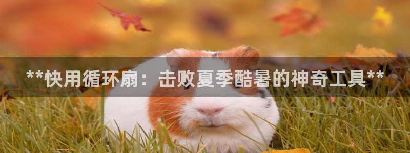 凯发官网地址：**快用循环扇：击败夏季酷暑的神奇工具**
