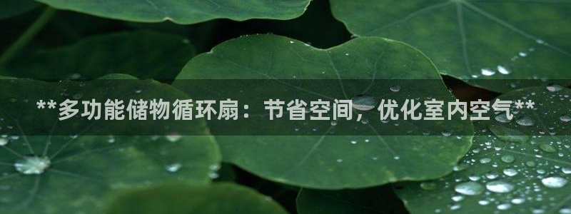凯发k8国际真人娱乐手机app：**多功能储物循环扇：节省空间，优化室内空气**
