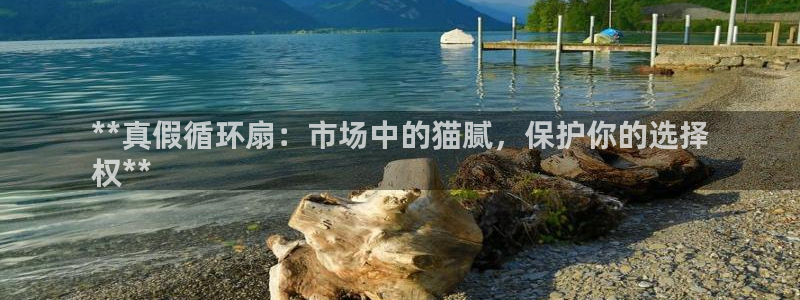 凯发k8旗舰厅手机app下载：**真假循环扇：市场中的猫腻，保护你的选择
权**