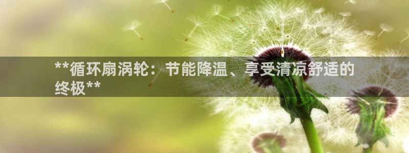 凯发官方首页：**循环扇涡轮：节能降温、享受清凉舒适的
终极**