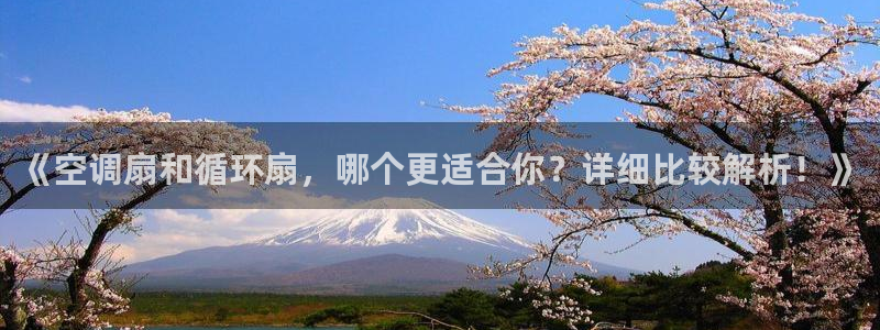 凯发k8登录首页：《空调扇和循环扇，哪个更适合你？详细比较解析！》