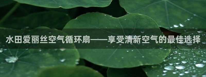 凯发注册手机版官网：水田爱丽丝空气循环扇——享受清新空气的最佳选择