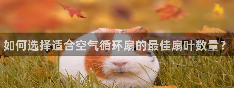 凯发k8网页登录：如何选择适合空气循环扇的最佳扇叶数量？