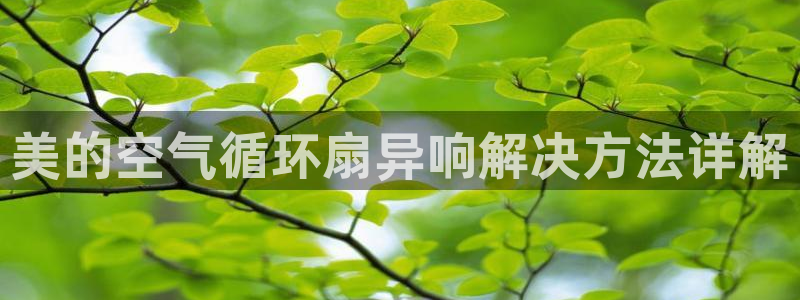 凯发在线平台官方网站：美的空气循环扇异响解决方法详解