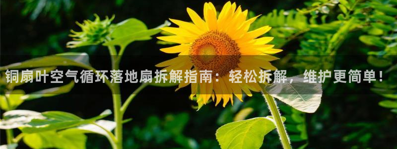 凯发k8娱乐官网入：铜扇叶空气循环落地扇拆解指南：轻松拆解，维护更简单！