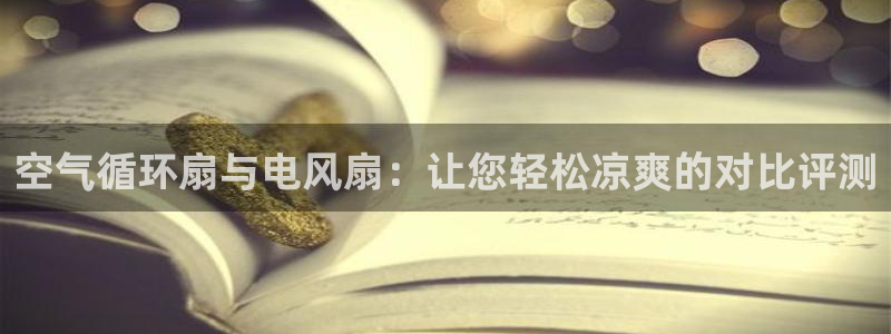 凯发k8娱乐是国内平台?：空气循环扇与电风扇：让您轻松凉爽的对比评测