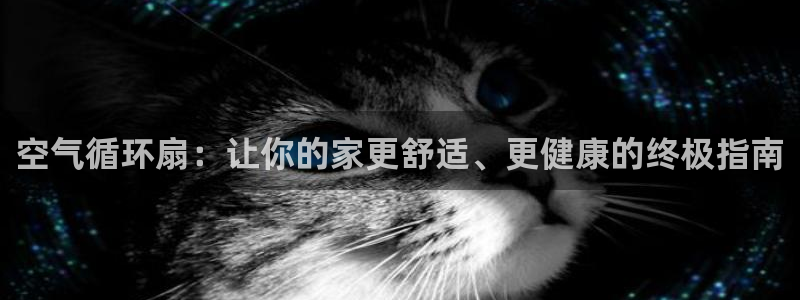 凯发旗舰厅网站：空气循环扇：让你的家更舒适、更健康的终极指南