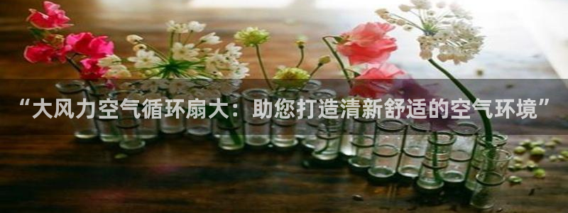 凯发国际平台登录：“大风力空气循环扇大：助您打造清新舒适的空气环境”