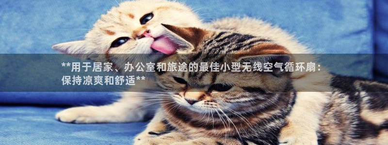 凯发k8旗舰厅手机下载：**用于居家、办公室和旅途的最佳小型无线空气循环扇：
保持凉爽和舒适**