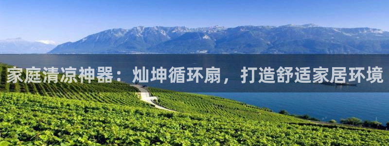 凯发k8国际手机网页：家庭清凉神器：灿坤循环扇，打造舒适家居环境