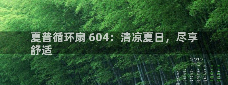 凯发国际平台登录入口官网：夏普循环扇 604：清凉夏日，尽享
舒适