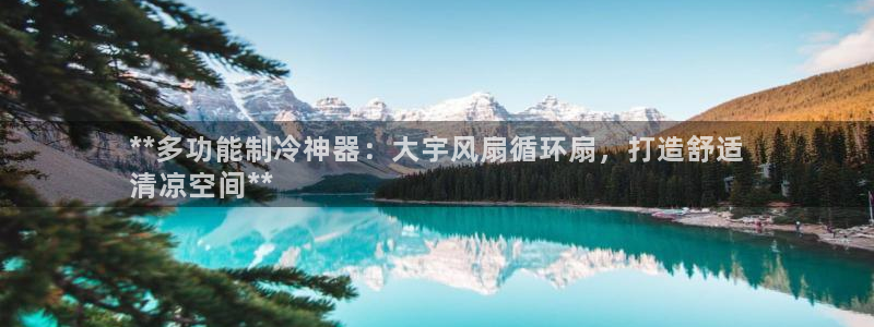 凯发平台8：**多功能制冷神器：大宇风扇循环扇，打造舒适
清凉空间**