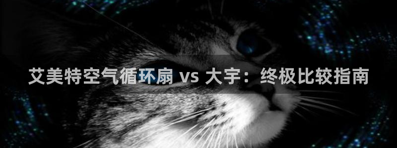 凯发k8旗舰厅yue来就送38：艾美特空气循环扇 vs 大宇：终极比较指南