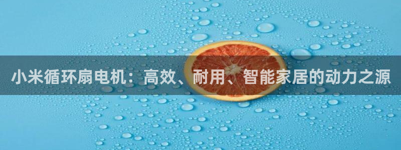 凯发k8娱乐要访问kf6819：小米循环扇电机：高效、耐用、智能家居的动力之源