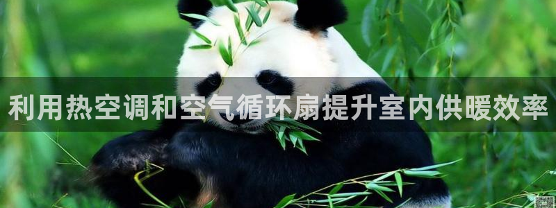 凯发k8娱乐倒闭了吗：利用热空调和空气循环扇提升室内供暖效率
