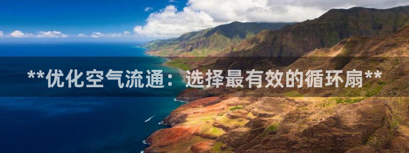 凯发国际怎么赚钱：**优化空气流通：选择最有效的循环扇**