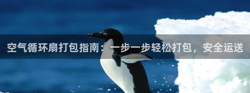 凯发手机客户端下载：空气循环扇打包指南：一步一步轻松打包，安全运送