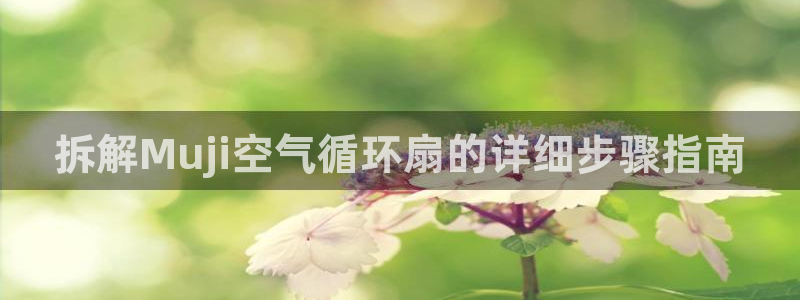 凯发手机官网：拆解Muji空气循环扇的详细步骤指南