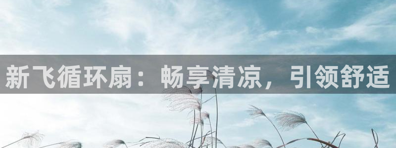 凯发k8旗舰厅app下载i来就送38元：新飞循环扇：畅享清凉，引领舒适
