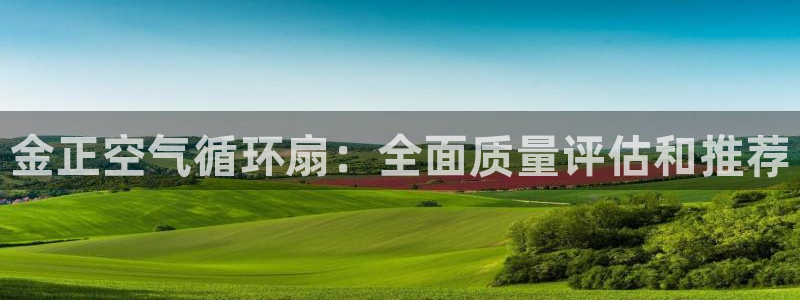 凯发国际平台官网：金正空气循环扇：全面质量评估和推荐