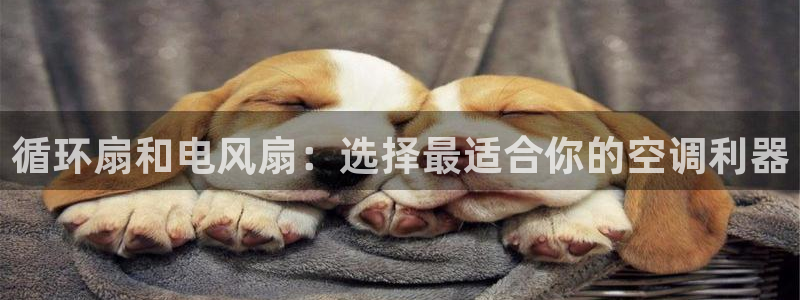 凯发官方:访问凯发.网站：循环扇和电风扇：选择最适合你的空调利器
