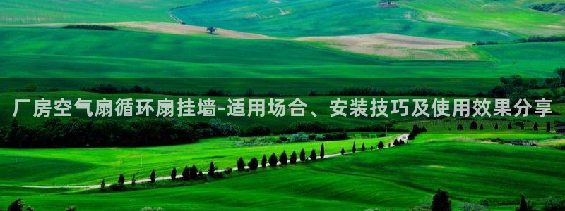 凯发k8是不是真的可靠：厂房空气扇循环扇挂墙-适用场合、安装技巧及使用效果分享