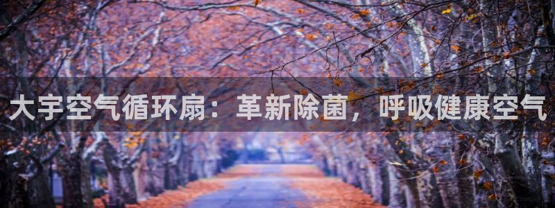 凯发网站是多少：大宇空气循环扇：革新除菌，呼吸健康空气