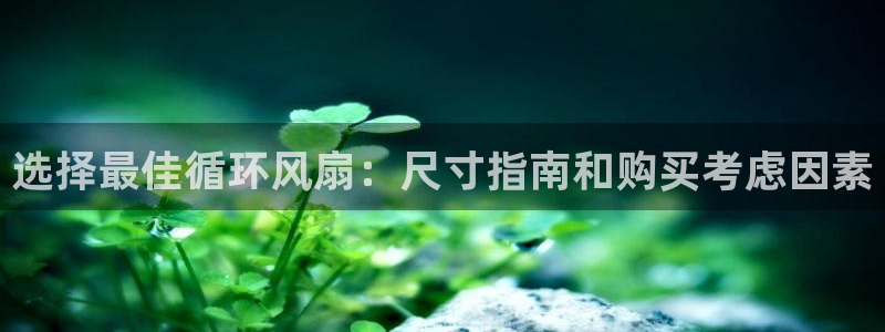 凯发国际平台官网：选择最佳循环风扇：尺寸指南和购买考虑因素