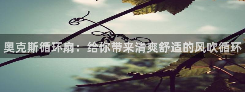 凯发娱乐官网登录：奥克斯循环扇：给你带来清爽舒适的风吹循环