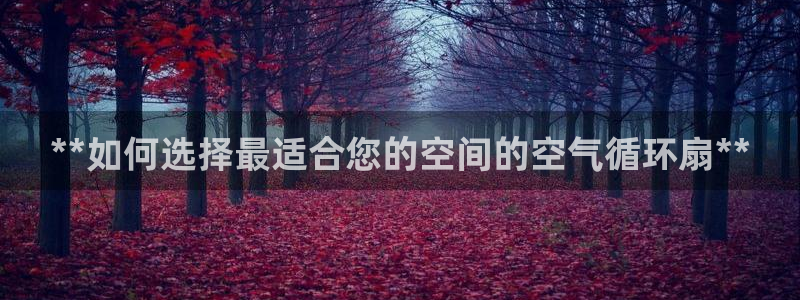 凯发k8网站是多少：**如何选择最适合您的空间的空气循环扇**