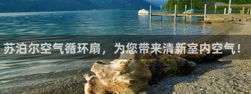 凯发k8旗舰厅app下载可靠送38元是真的吗：苏泊尔空气循环扇，为您带来清新室内空气！