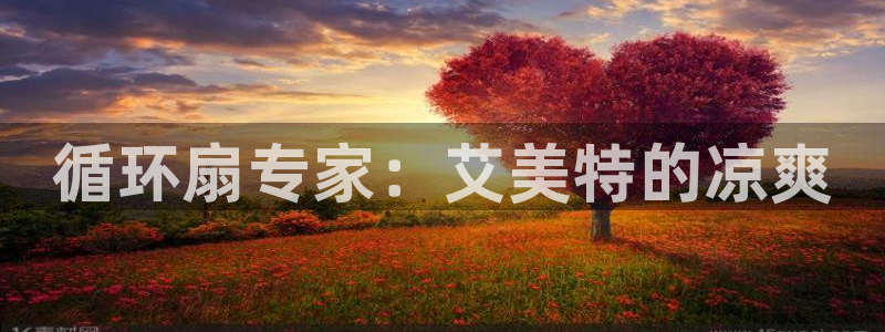 凯发app是干嘛的：循环扇专家：艾美特的凉爽