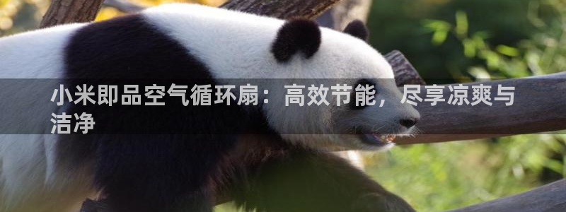 凯发娱乐k8下载：小米即品空气循环扇：高效节能，尽享凉爽与
洁净