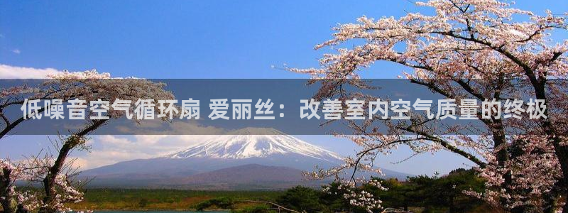 凯发k8娱乐平台下载：低噪音空气循环扇 爱丽丝：改善室内空气质量的终极