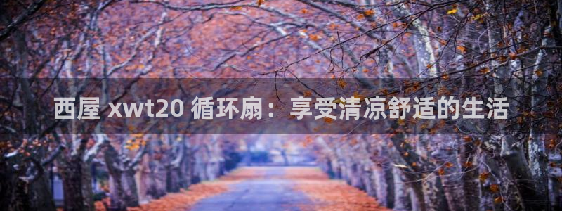 凯发国际网址官网首页：西屋 xwt20 循环扇：享受清凉舒适的生活