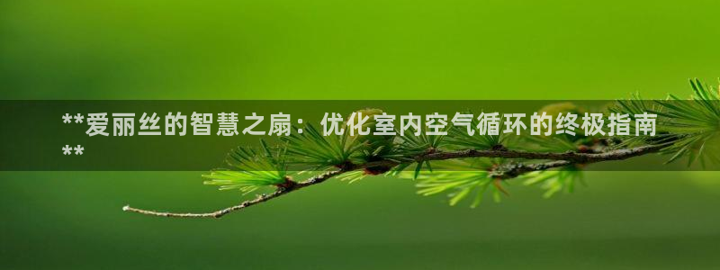 凯发国际可靠送38元：**爱丽丝的智慧之扇：优化室内空气循环的终极指南
**
