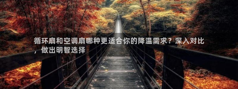 凯发k8旗舰店：循环扇和空调扇哪种更适合你的降温需求？深入对比
，做出明智选择