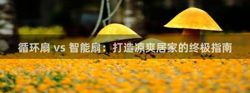 凯发k8娱乐官网最新版本：循环扇 vs 智能扇：打造凉爽居家的终极指南