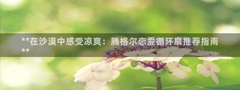 凯发国际网站首页：**在沙漠中感受凉爽：腾格尔恋爱循环扇推荐指南
**