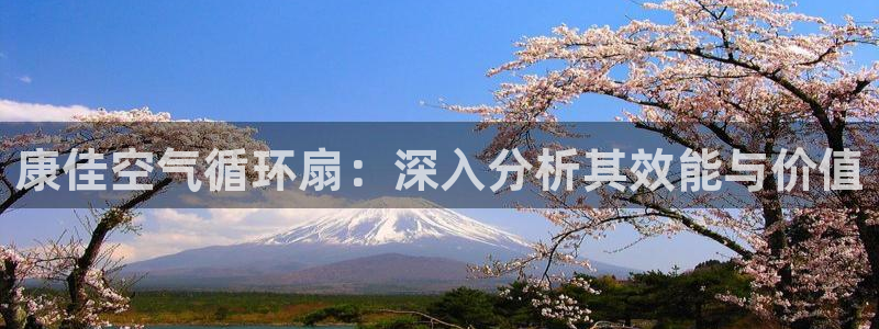 凯发国际怎么赚钱：康佳空气循环扇：深入分析其效能与价值