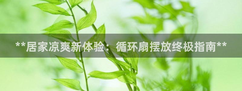 凯发k8全球公开：**居家凉爽新体验：循环扇摆放终极指南**