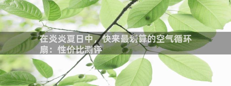 凯发k8555|手机版：在炎炎夏日中，快来最划算的空气循环
扇：性价比测评