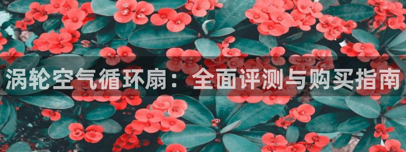凯发国际亚洲有限公司：涡轮空气循环扇：全面评测与购买指南