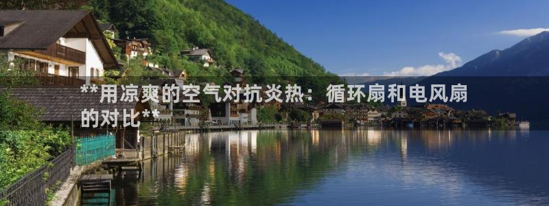 凯发国际平台登录：**用凉爽的空气对抗炎热：循环扇和电风扇
的对比**