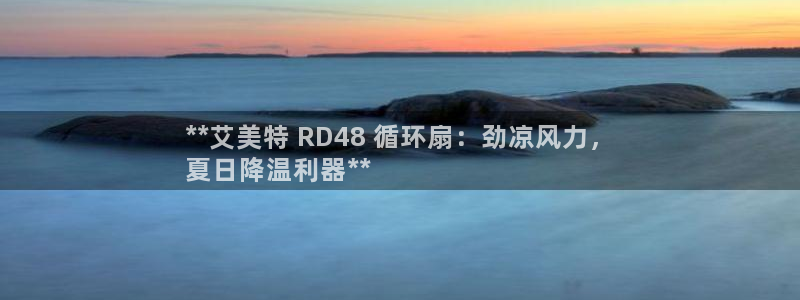 凯发k8官方：**艾美特 RD48 循环扇：劲凉风力，
夏日降温利器**