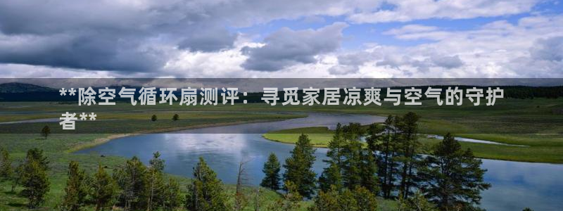 凯发手机客户端下载：**除空气循环扇测评：寻觅家居凉爽与空气的守护
者**