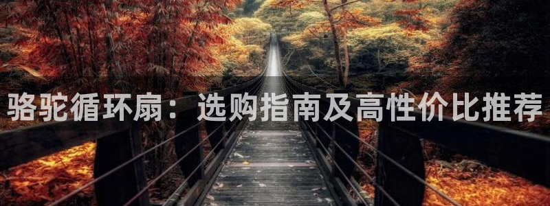 凯发官网登录地址陆地：骆驼循环扇：选购指南及高性价比推荐