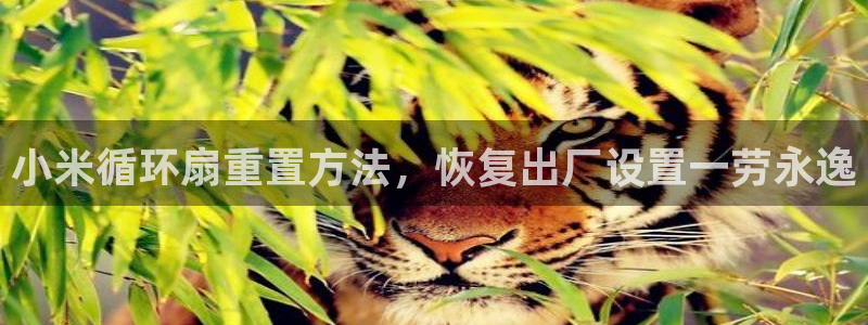 凯发app地址：小米循环扇重置方法，恢复出厂设置一劳永逸