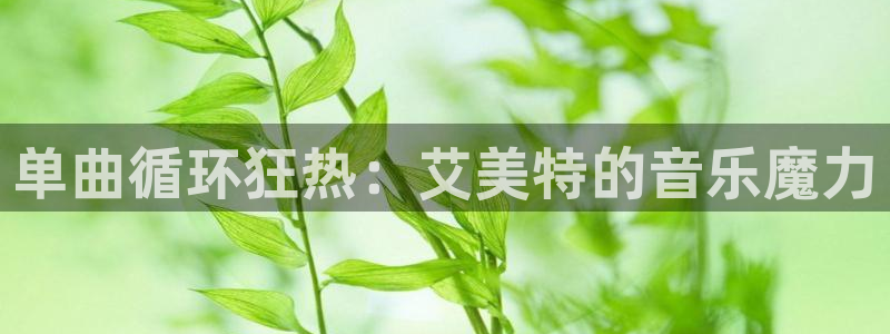 凯发k8官方网娱乐官方真：单曲循环狂热：艾美特的音乐魔力