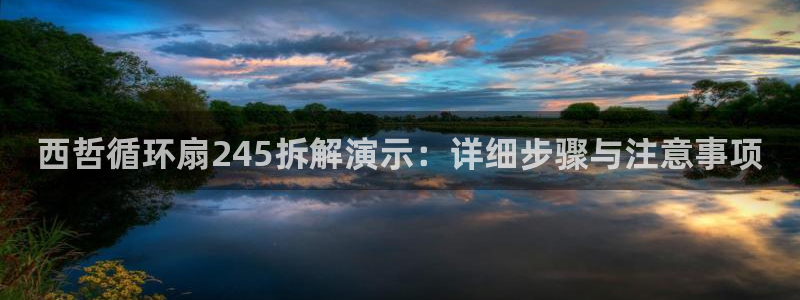 凯发一触即发：西哲循环扇245拆解演示：详细步骤与注意事项
